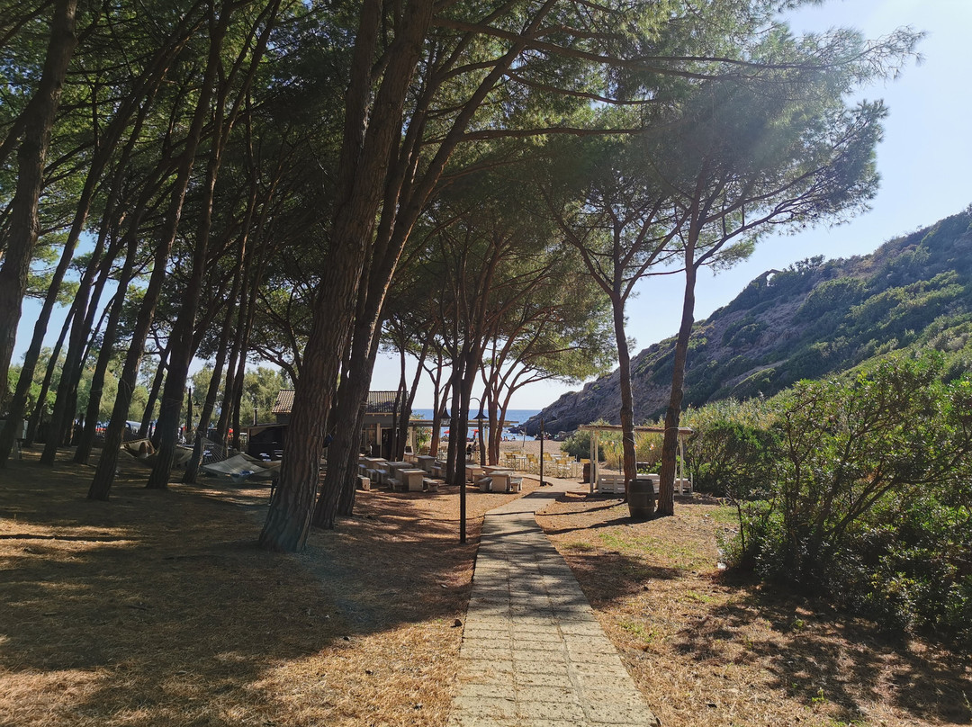 Tenuta Delle Ripalte主图