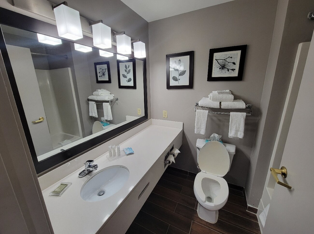 Country Inn & Suites by Radisson, Manteno, IL主图