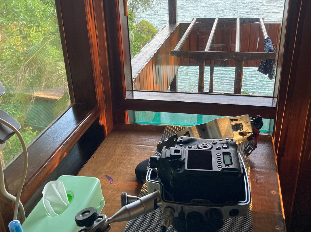 Divers Lodge Lembeh主图