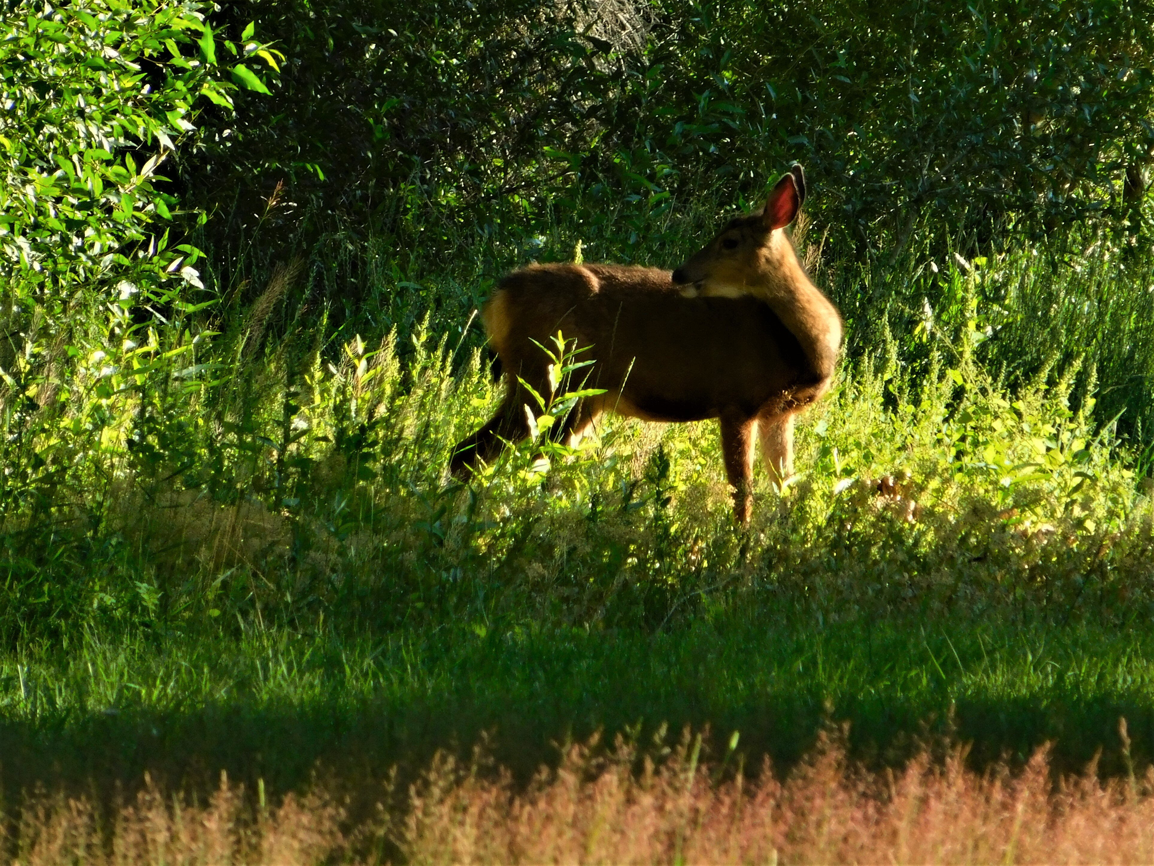 Spirit West River Lodge-官方