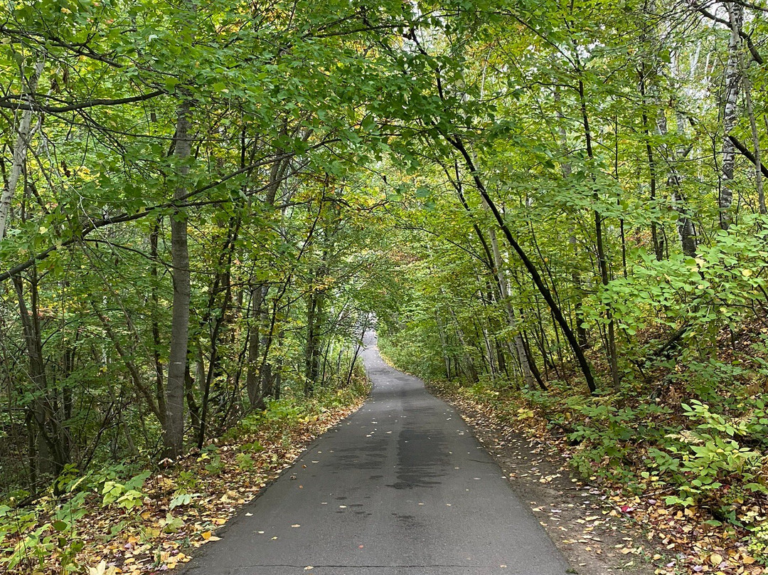 Whitebirch Golf Course-Breezy Point必去景点