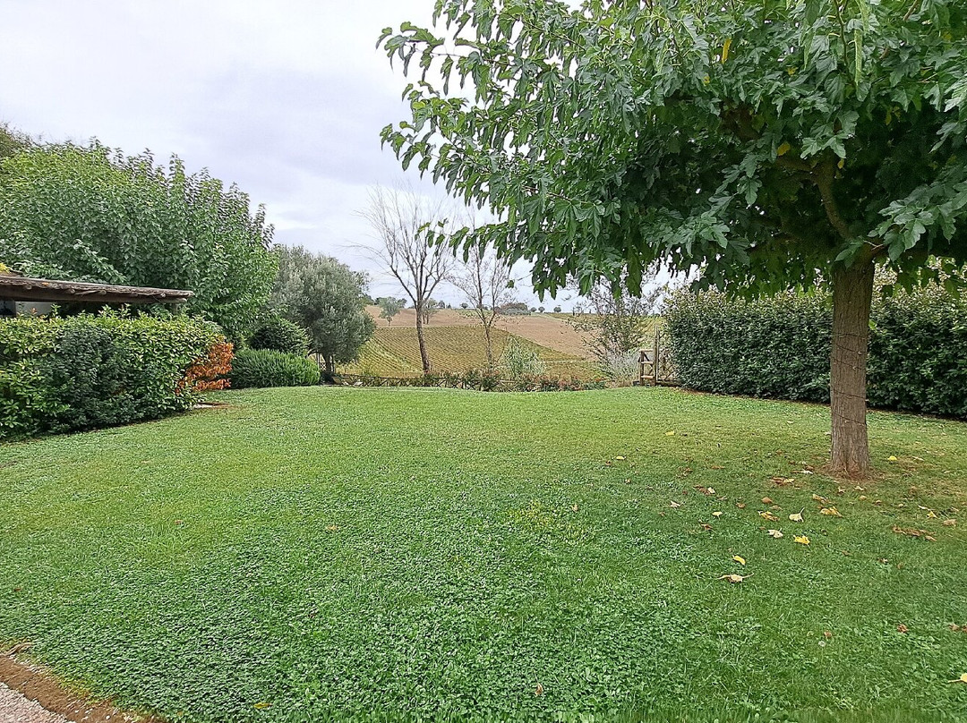 Marotti Campi-Morro d'Alba必去景点