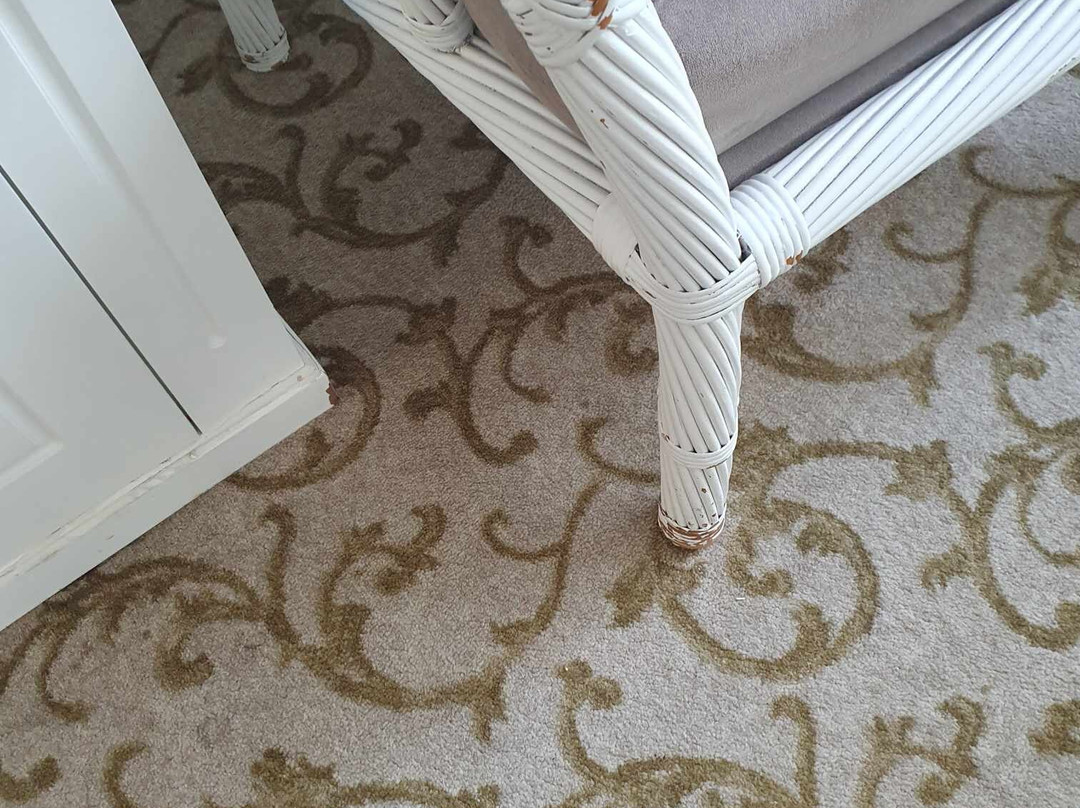 The Olive Tree Hotel主图