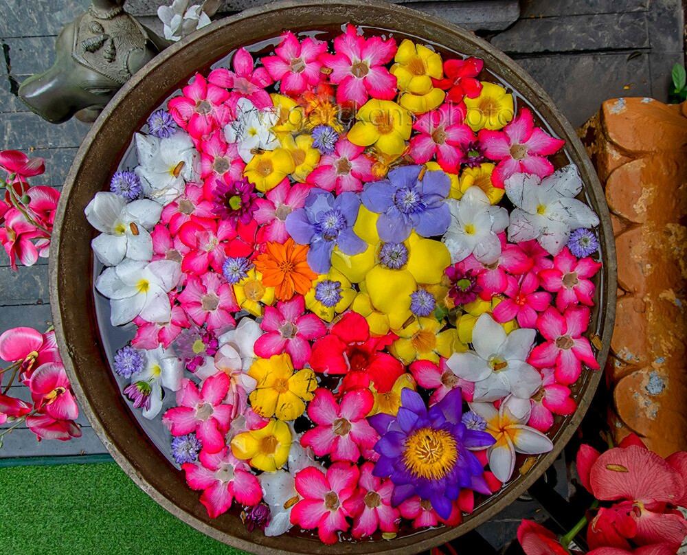 Pearl Of Sri Lanka Travel景点图片