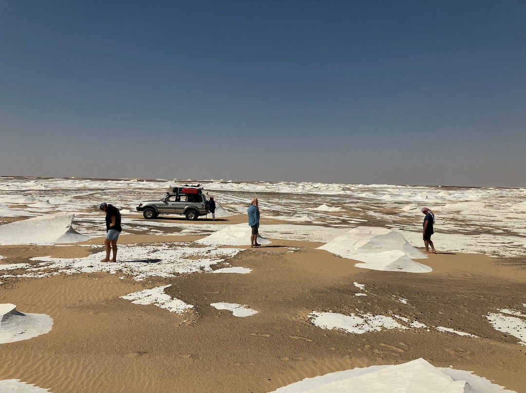 Western Desert Safari-Bahariya Oasis必去景点