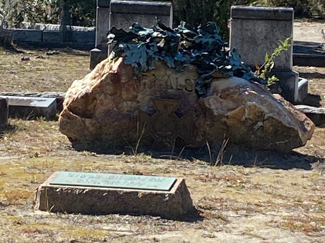 Savannah Cruzers-萨凡纳必去景点