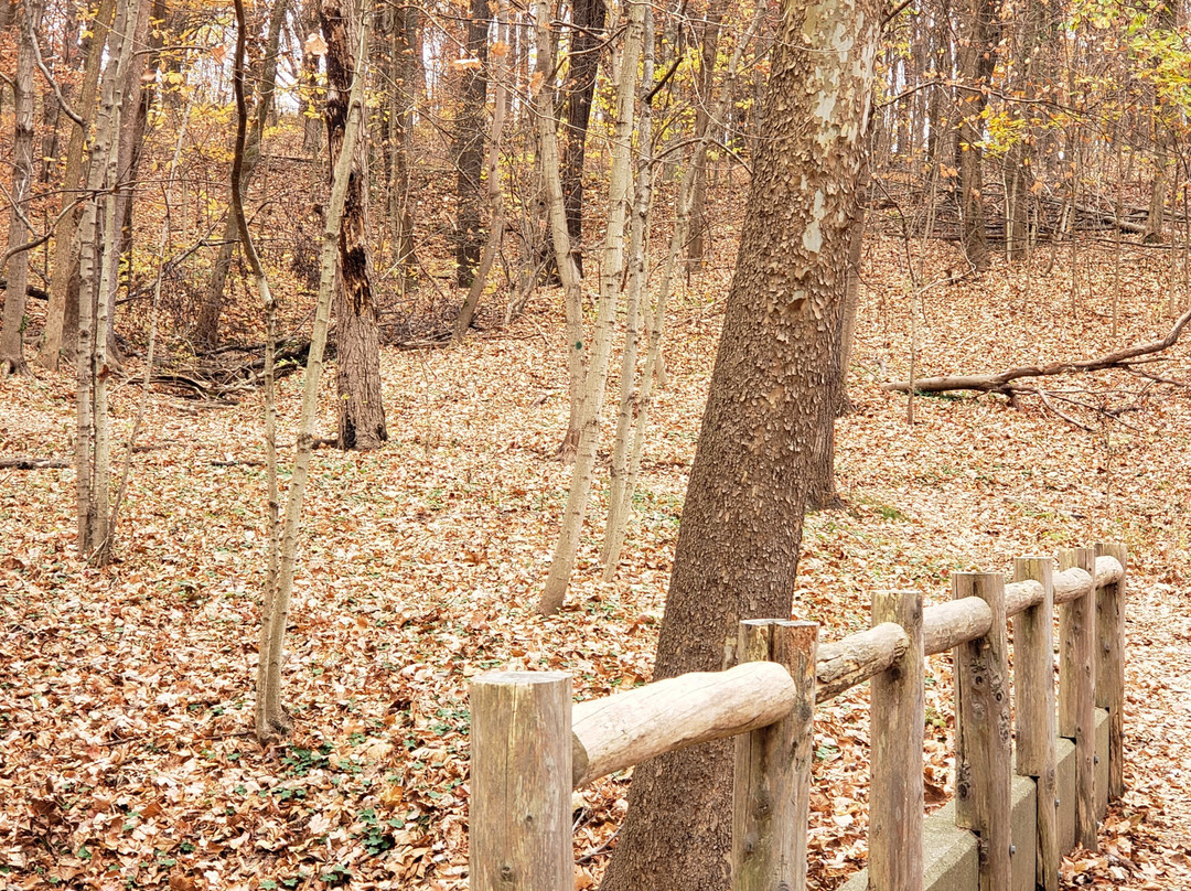 Cherokee Park-路易斯维尔必去景点