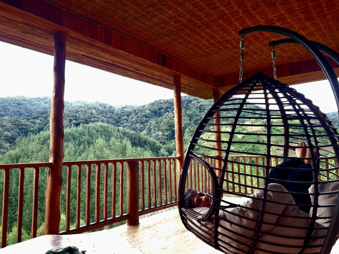 Gorilla Leisure Lodge
