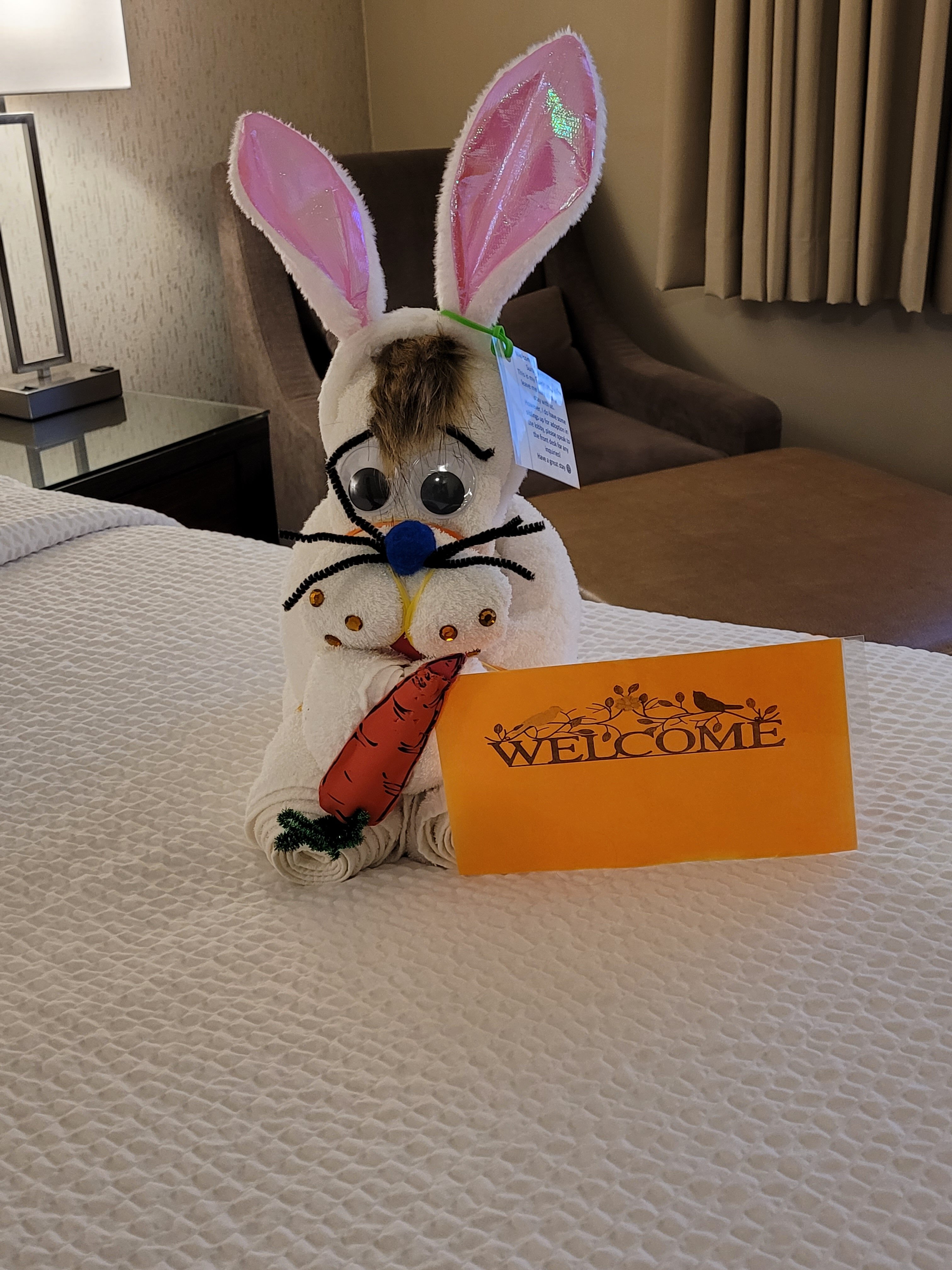 Fairfield Inn & Suites By Marriott Airdrie-客卧