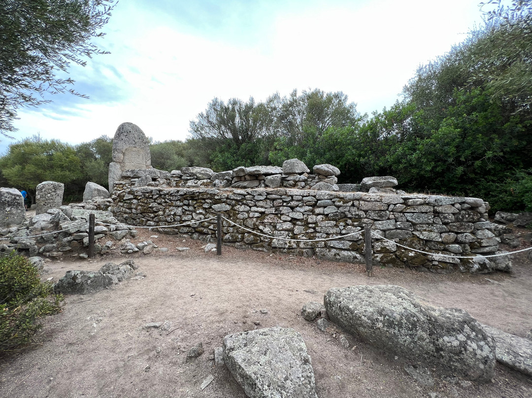 Tomba dei Giganti di Coddu Vecchiu景点图片
