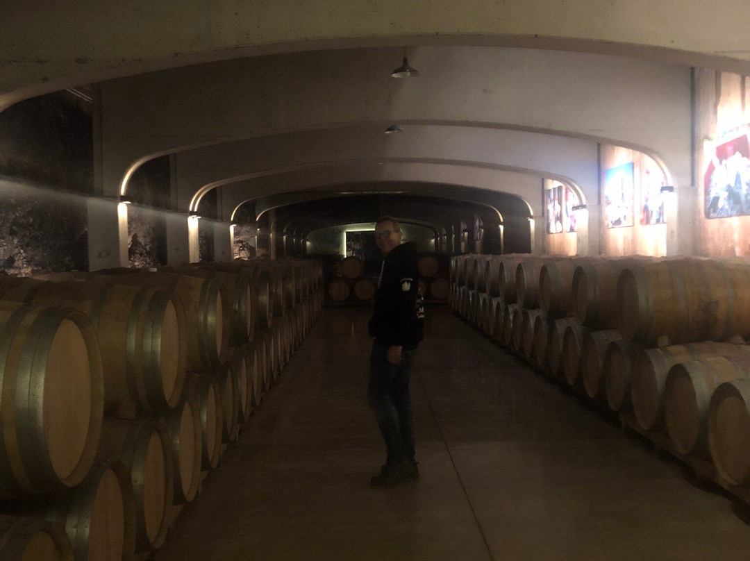 Bodegas David Moreno-Badaran必去景点