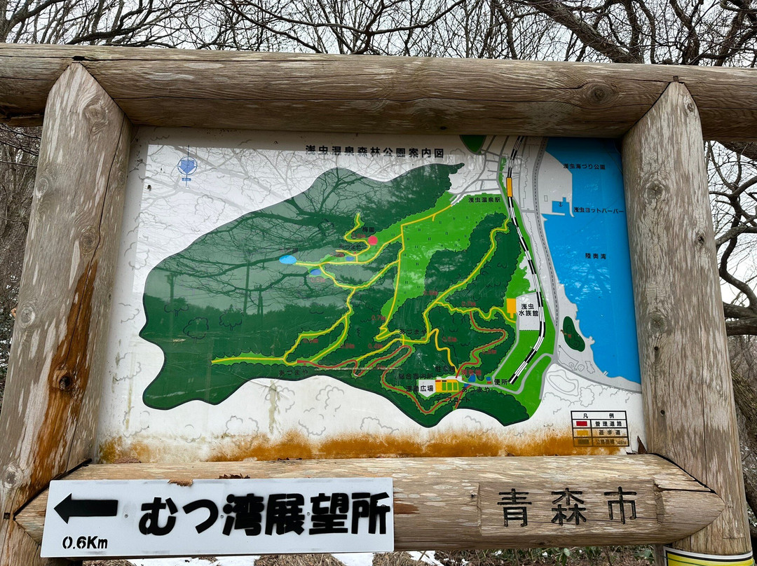 Asamushi Onsen Forest Park景点图片