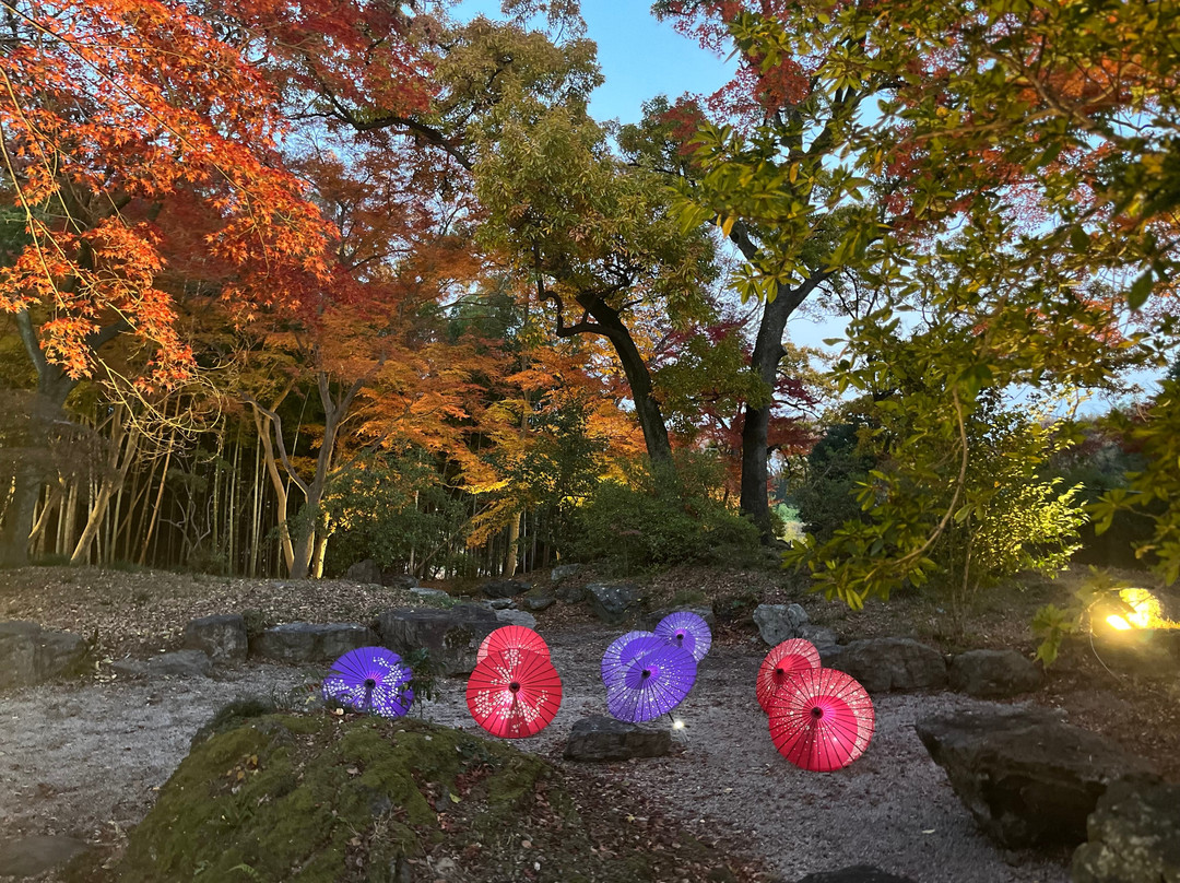 Suzumenomiya Park景点图片