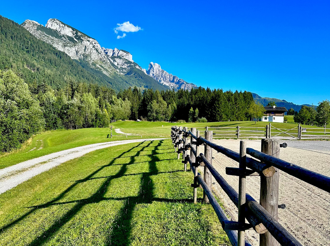 Winterstellgut主图