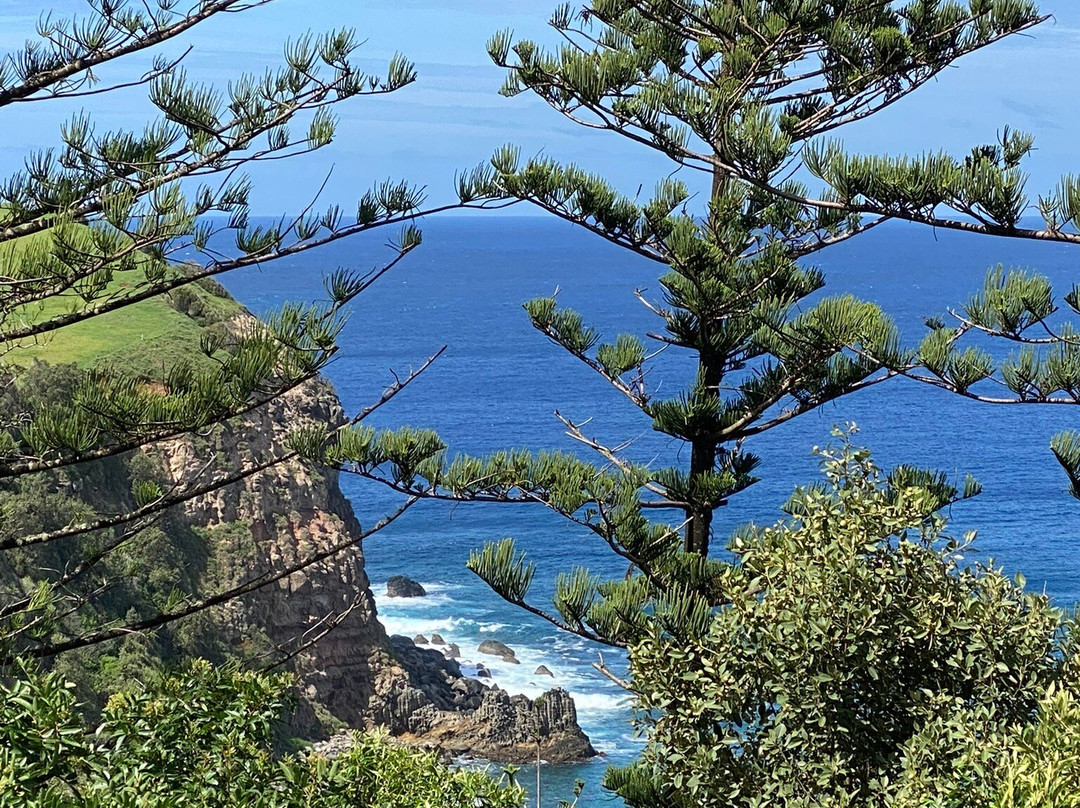 Pinetree Tours-诺福克岛必去景点