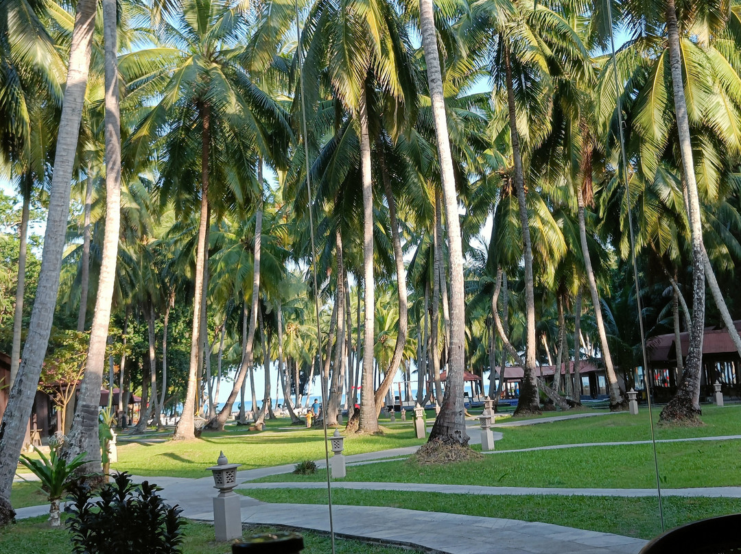 Silver Sand Beach Resort, Havelock主图
