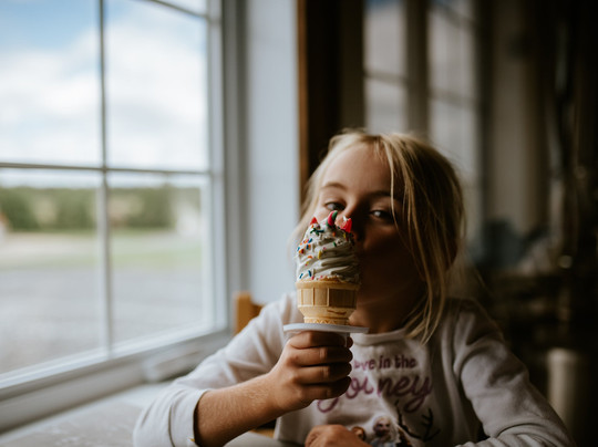 Bleuetière Goulet Inc主图