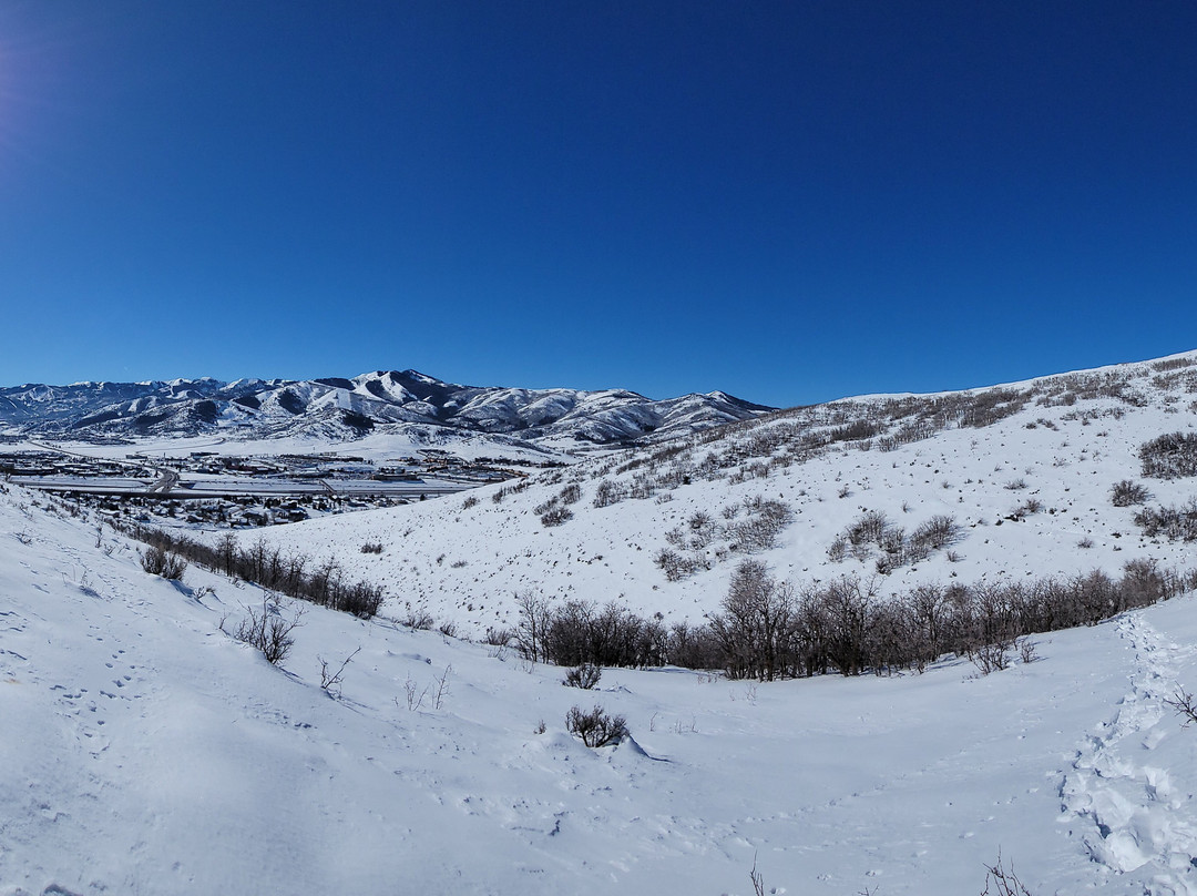Swaner Preserve and EcoCenter景点图片