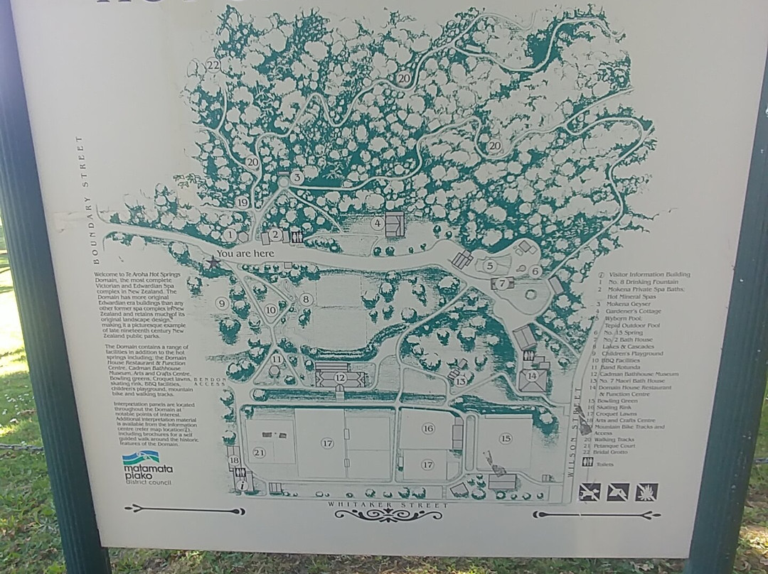 Te Aroha Domain景点图片