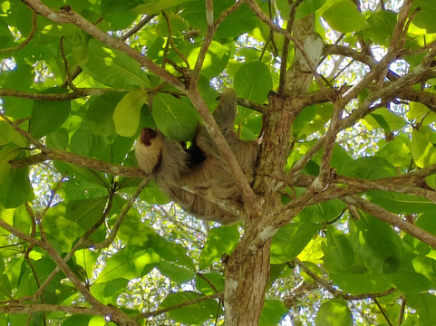 AyE Tours Travel Costa Rica-圣何塞必去景点