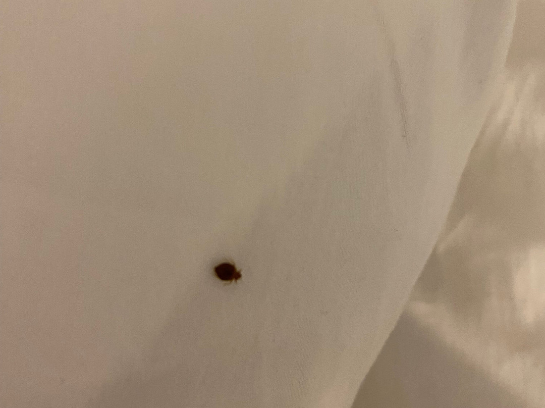 Great Wolf Lodge-梅森必去景点