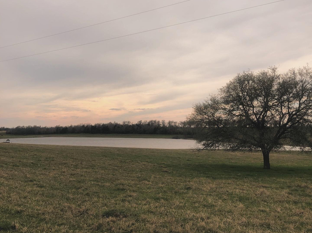 Lillian Farms Country Estate主图