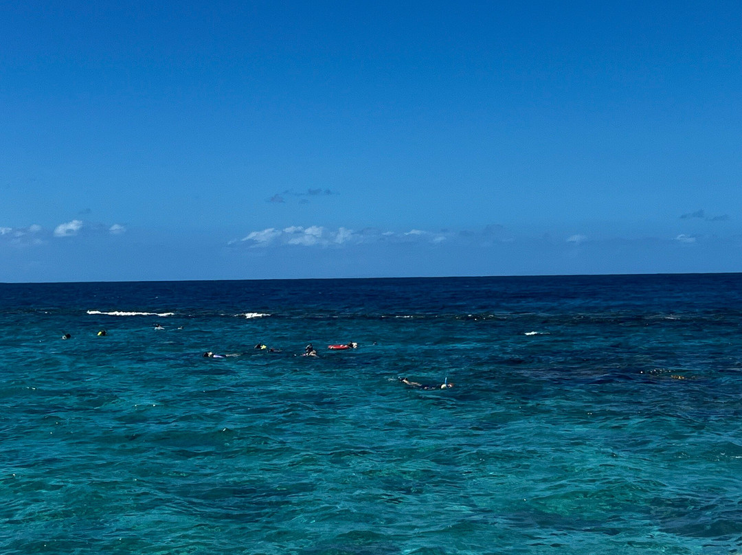 Buck Island Cove-圣克鲁斯必去景点