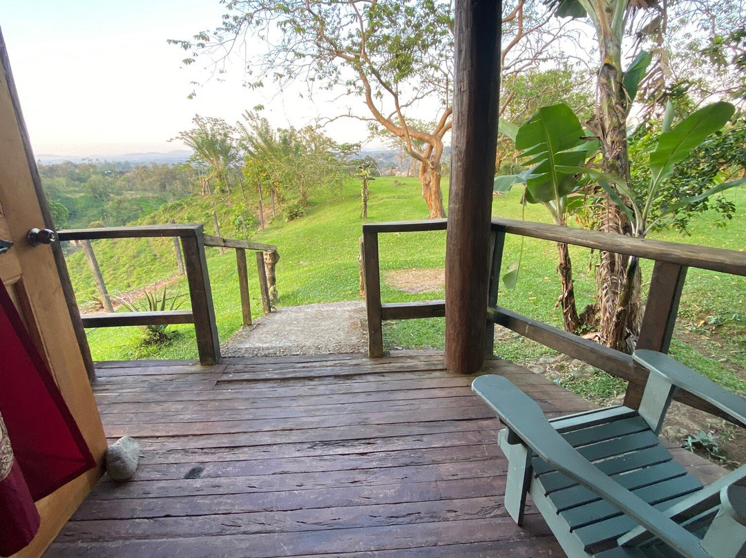 Los Gallitos Hotel主图