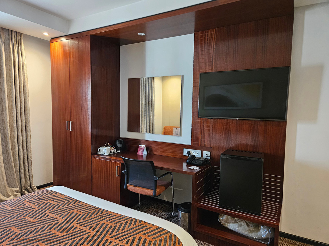 City Lodge - 奥利弗坦博国际机场主图