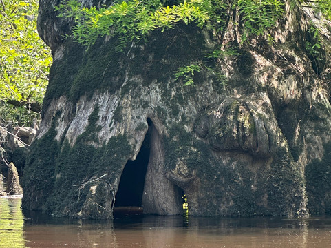 Mahanaim Adventures - Kayaking Day Adventures-威尔明顿必去景点