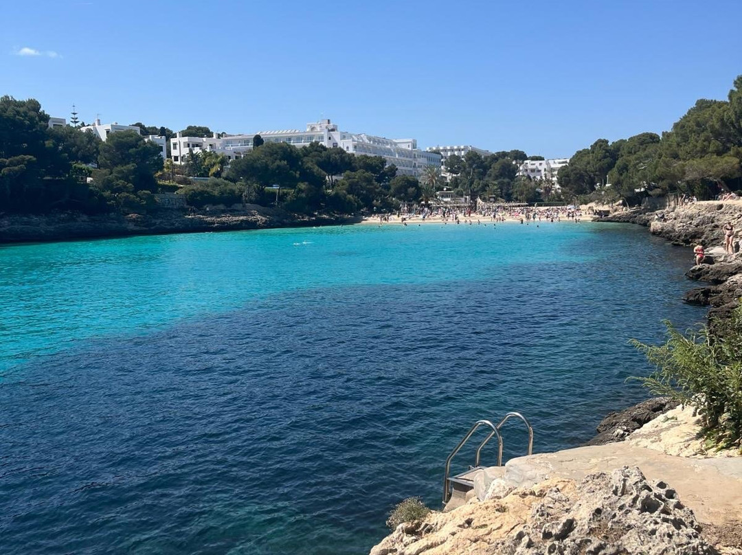 Plage Cala D'or景点图片