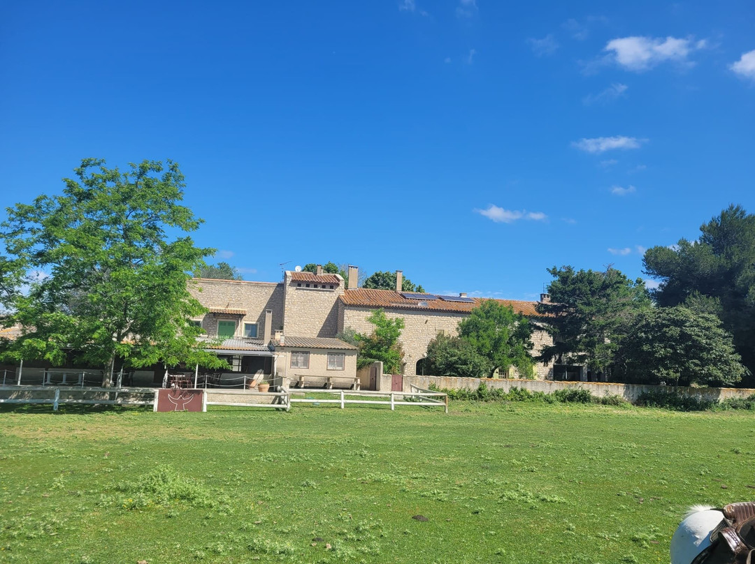 Manade Chapelle Brugeas-Saint-Martin-de-Crau必去景点