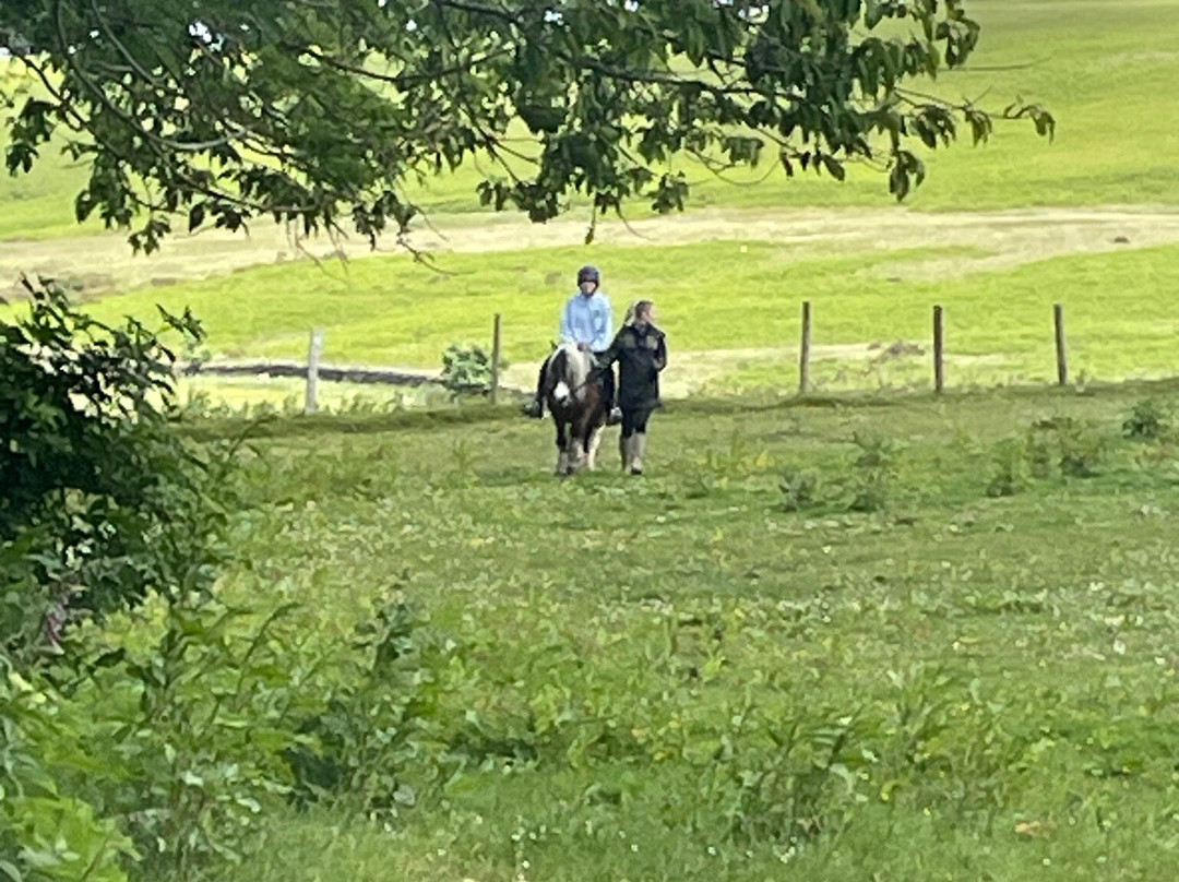 Pony Trekking Ullswater景点图片
