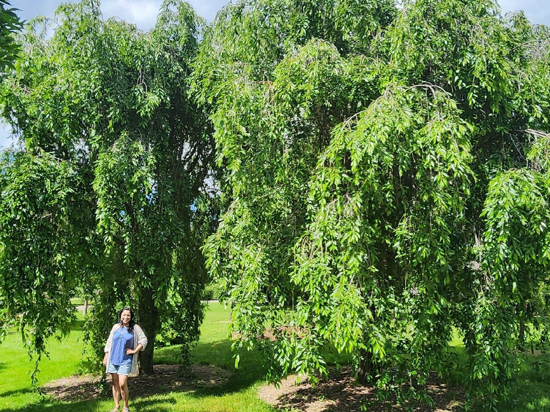 Secrest Arboretum-Wooster必去景点