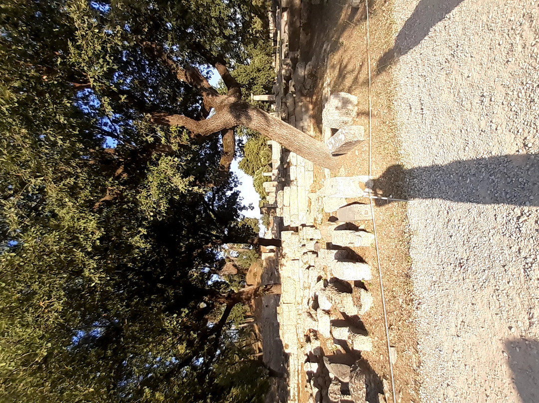 Leonidaion Guest House主图