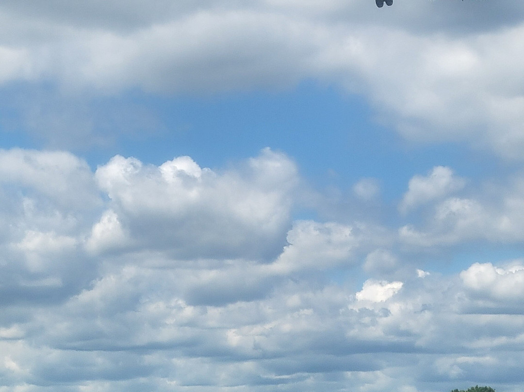 Gravelly Point Park-阿灵顿必去景点