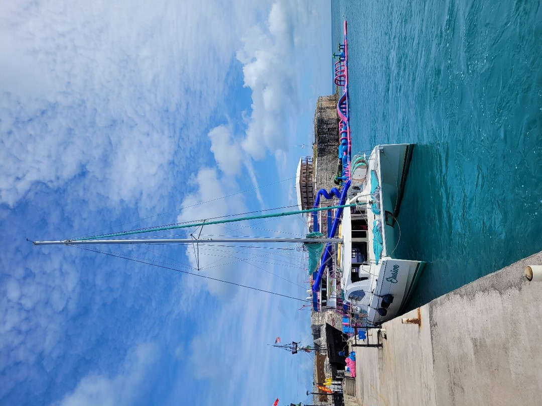 Sail Bermuda Private Charters-汉密尔顿必去景点