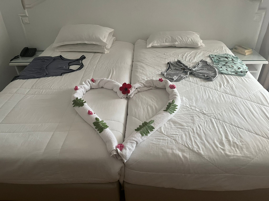 伊波罗之星贝利塞尔酒店主图