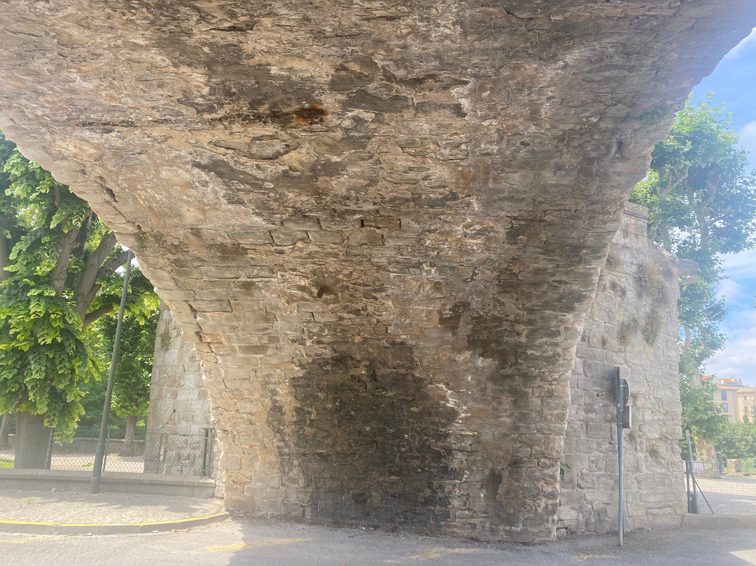 Le Pont Vieux (The Old Bridge)景点图片