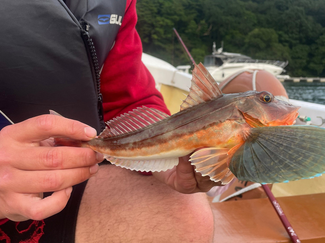 Fowey River Boat Hire-福伊必去景点