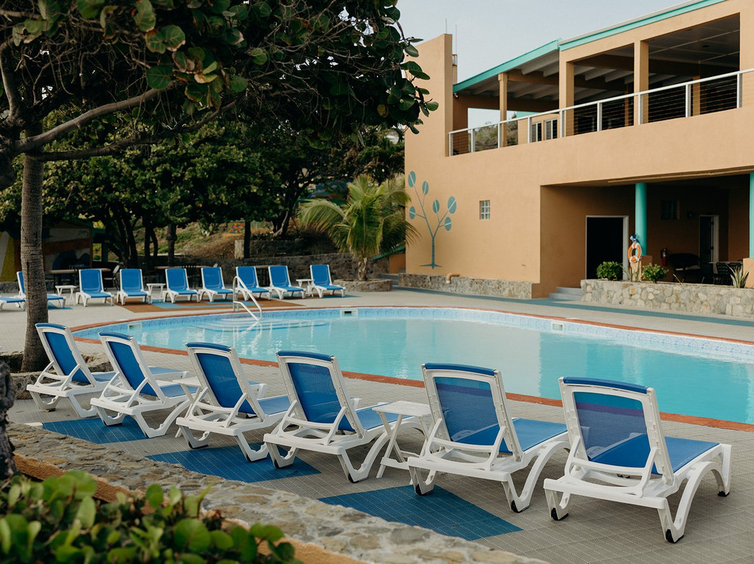 Grapetree Bay Hotel主图