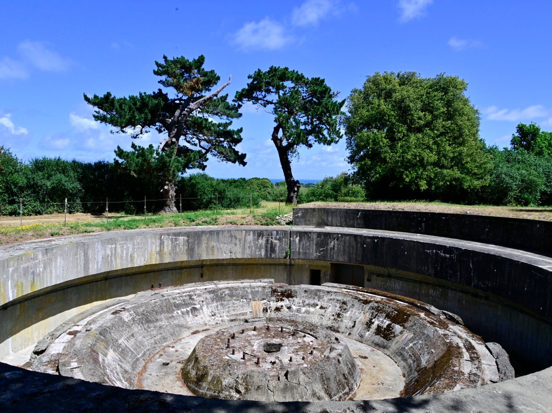 Tours Of Guernsey景点图片