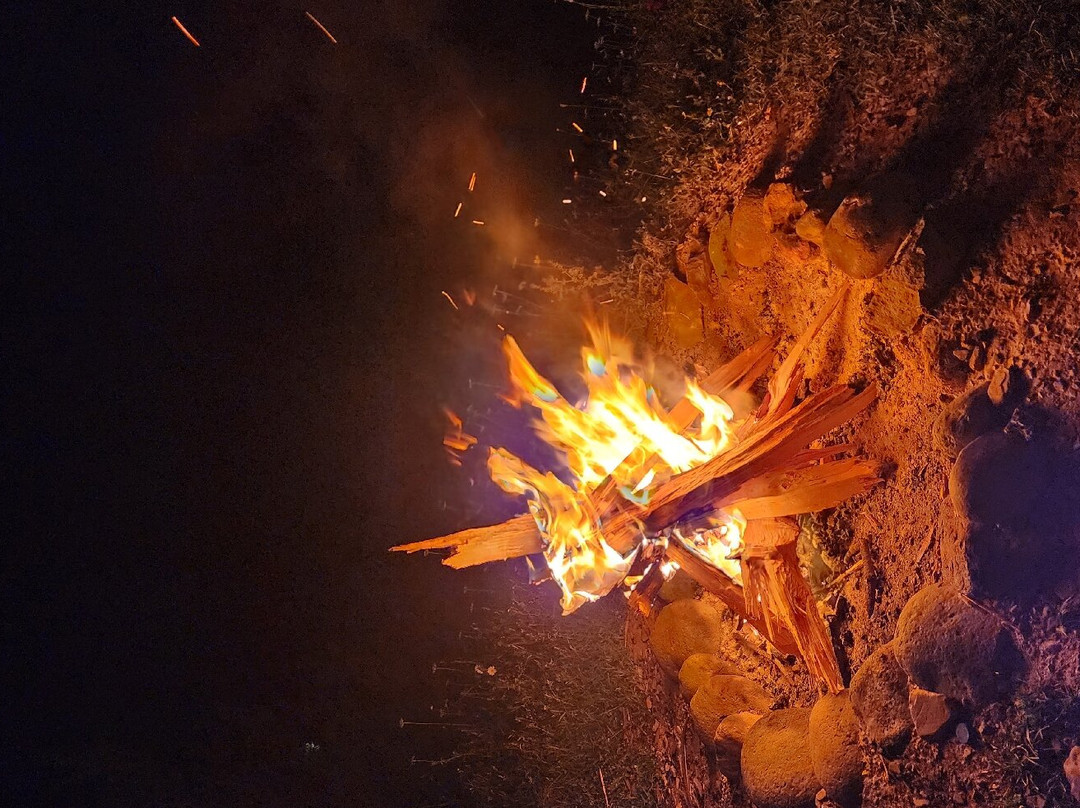 Travellers Inn主图