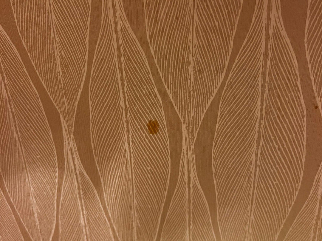 Hampton Inn Sulphur Springs主图