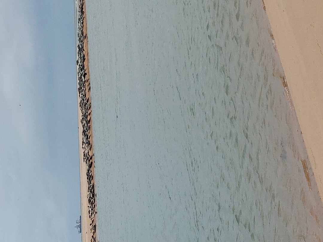 Newburgh Seals Beach-Newburgh必去景点