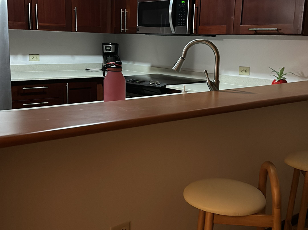 The Village At Palmas Del Mar