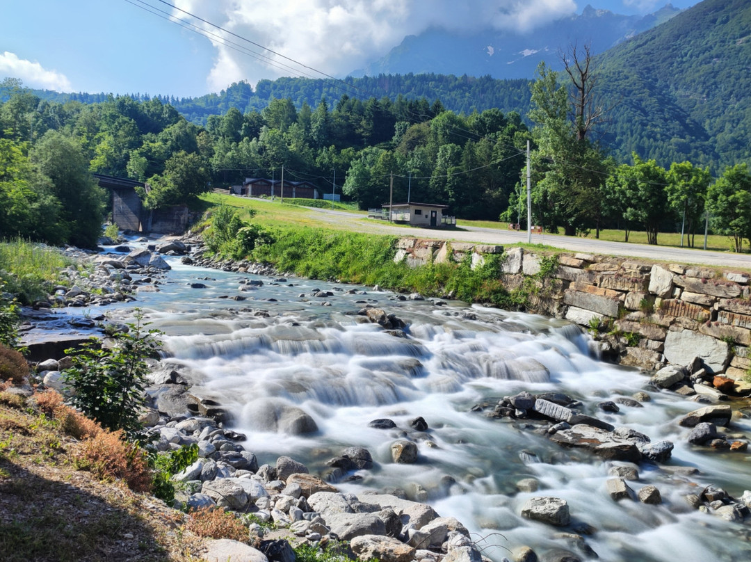 Vecchio Mulino Stars Box主图