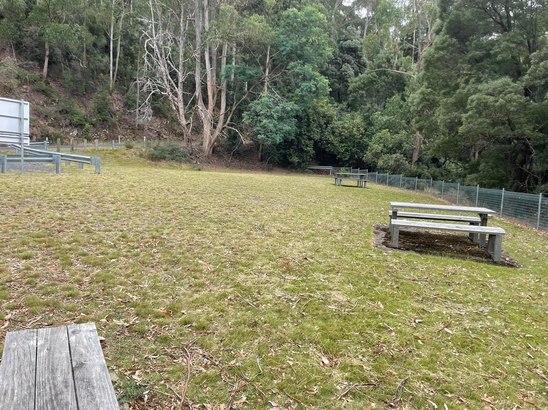 The Tasmanian Arboretum-Devonport必去景点