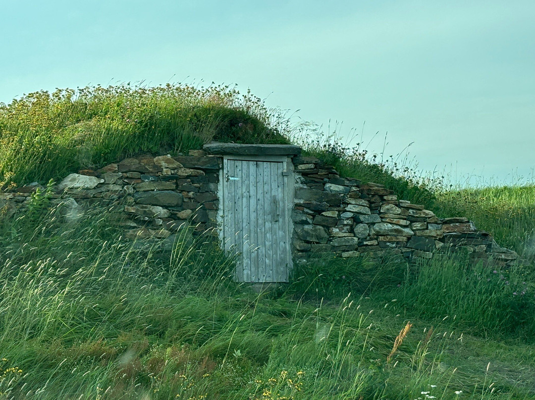 The Elliston Puffin Site景点图片