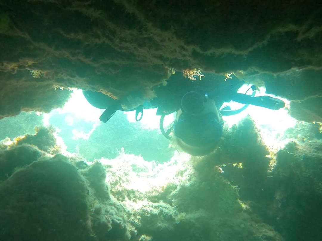 Sun & Fun Adventure Ltd. - Diving Center-Coral Bay必去景点